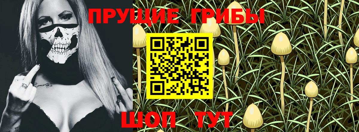 Псилоцибиновые грибы GOLDEN TEACHER  Галлюциногенные грибы Psilocybe  Вход с VPN  Михайловка 